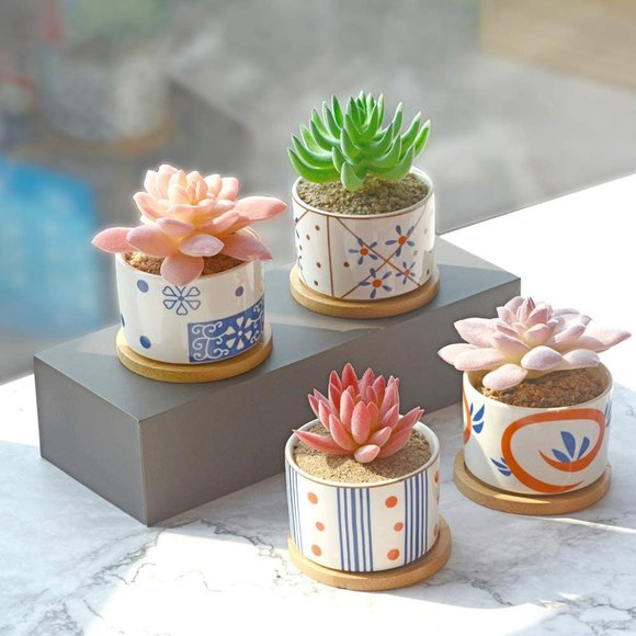 4 Ceramic Planters for Cactus Succulent with Drainage Hole & Bamboo Saucers 3" - Picture 4 of 6